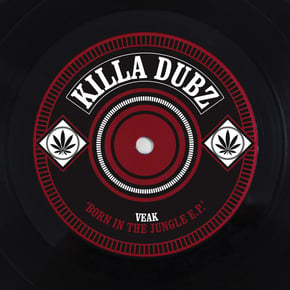 Born in the Jungle EP by DJ Direkt & Veak Cover Art