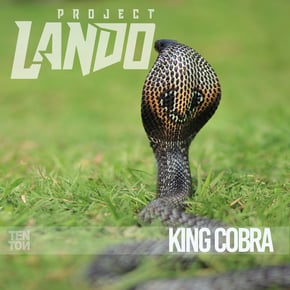King Cobra by Project Lando Cover Art