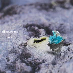 Circles LP (Sampler) by Nitri Cover Art