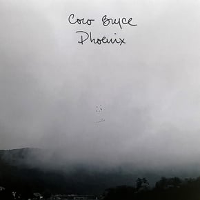 Phoenix by Coco Bryce Cover Art