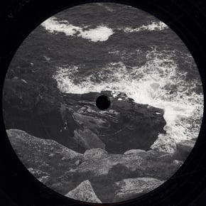 Taiga - EP by Survey & Theory Cover Art
