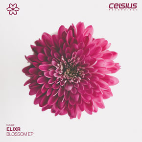 Blossom EP by Elixr & Toddlah Cover Art