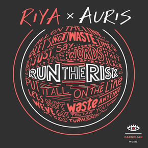 Run the Risk by Riya Cover Art