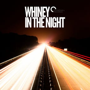 In The Night - EP by goddard. & Whiney Cover Art
