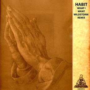 What I Want (Wildstorm Remix) by HABIT & Wildstorm Cover Art