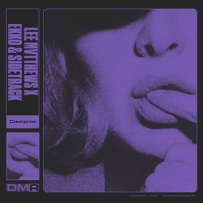 Discipline by Lee Mvtthews & Ekko & Sidetrack Cover Art