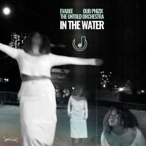 In The Water by EVABEE, Dub Phizix & The Untold Orchestra Cover Art
