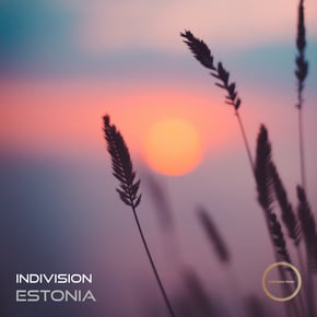 Estonia by Indivision Cover Art