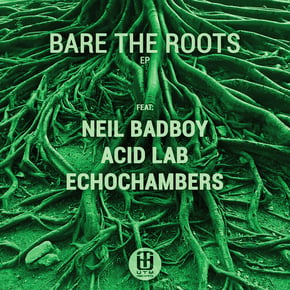 Bare the Roots by Neil Badboy Cover Art