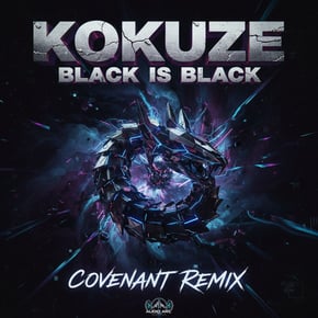 Black is black (Remix) by KOKUZE Cover Art