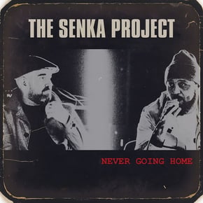Never Going Home by Dub Phizix, DRS & The Senka Project Cover Art