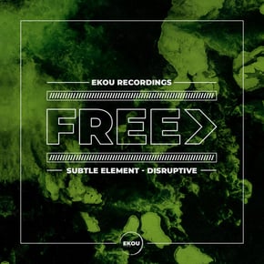 Disruptive (Original Mix) by Subtle Element Cover Art