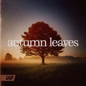 Autumn Leaves by skantia Cover Art