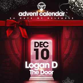 The Door by Logan D Cover Art