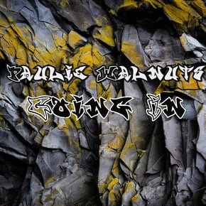 Going In by Paulie Walnuts Cover Art