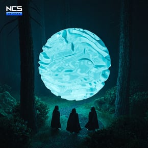 The Path by Wiguez Cover Art