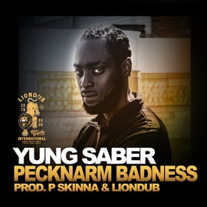 Pecknarm Badness by Liondub Cover Art