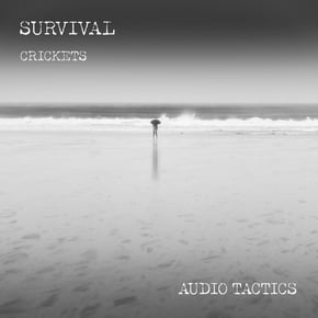 Too Late / Crickets by Survival Cover Art