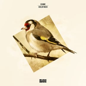 Goldfinch by BOP & Chime Cover Art