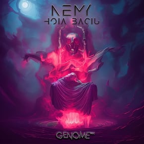 HOIA BACIU by Nemy Cover Art