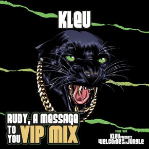 Rudy, A Message To You (VIP Mix) by Kleu Cover Art