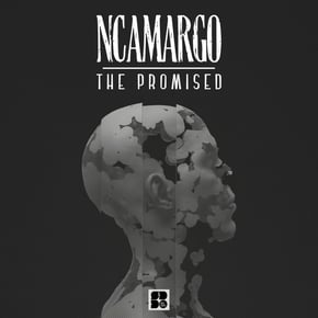 The Promised by nCamargo Cover Art