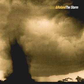 The Storm / Sonic Shock by Dom & Roland Cover Art