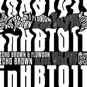 Gully Dance / Block Work (VIP) by Echo Brown Cover Art