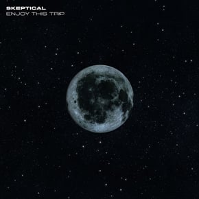 Enjoy This Trip by Skeptical Cover Art