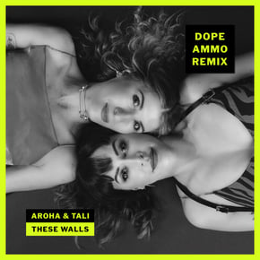 These Walls (Dope Ammo Remix) by Dope Ammo Cover Art