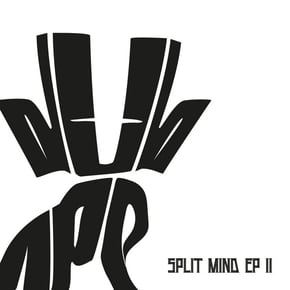 Split Mind Volume 2 by DubApe Cover Art