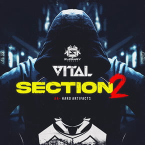 Section 2 / Hard Artifacts by Vital Cover Art