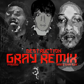 DESTRUCTION (Gray Remix) by Gray, Magugu & Rider Shafique Cover Art