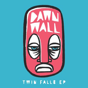 Twin Falls by Dawn Wall Cover Art