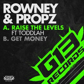 Raise the Levels / Get Money by Rowney & Propz Cover Art