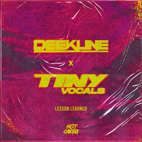 Lesson Learned by Deekline Cover Art