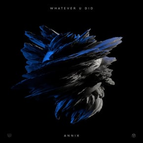 Whatever U Did by Annix Cover Art