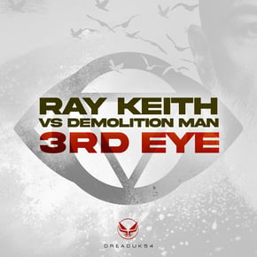 3rd Eye by Ray Keith & Demolition Man Cover Art