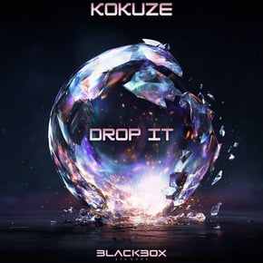 Drop It by KOKUZE & Blackbox Records Cover Art