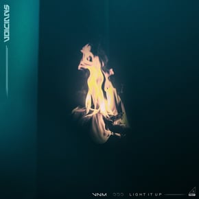 Light It Up by Voicians Cover Art