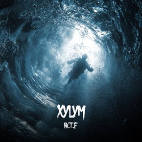 W.T.F by Xylym Cover Art