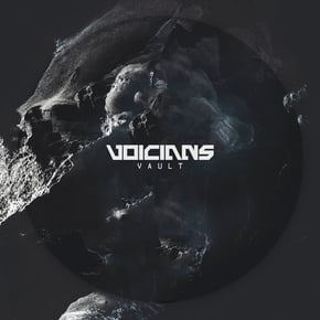 Vault by MUZZ & Voicians Cover Art