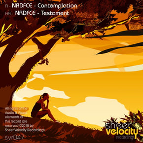 Contemplation / Testament by NRDFCE Cover Art