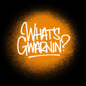What's Gwarnin? by Fracture Cover Art