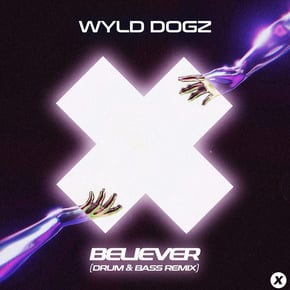 Believer (Drum & Bass Remix) by Wyld Dogz Cover Art
