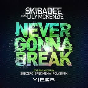 Never Gonna Break by Skibadee Cover Art
