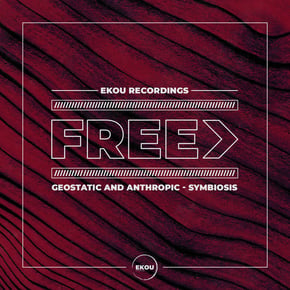 Symbiosis (Original Mix) by Geostatic Cover Art