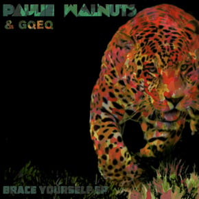 Brace Yourself by Paulie Walnuts Cover Art