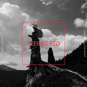 Seeing Red by DEAD BATTERY Cover Art