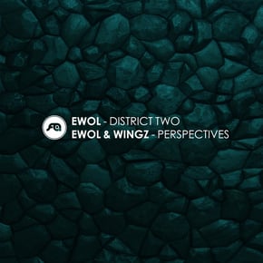 District Two / Perspectives by Ewol Cover Art